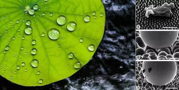 化纖不透氣？你媽覺(jué)得該這么穿，真不一定對(duì)！