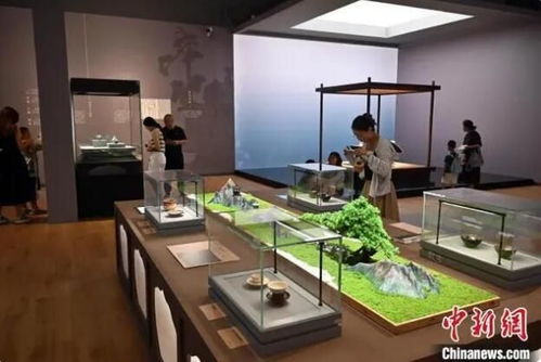 紫禁清韻入燕趙 故宮茶文化文物展亮相河北茶藝會(huì)館